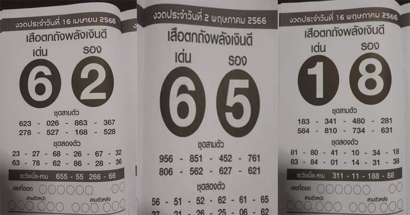 เสือตกถังพลังเงินดี 2566