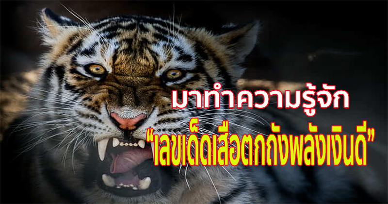 เลขเด็ดเสือตกถังพลังเงินดี คือ