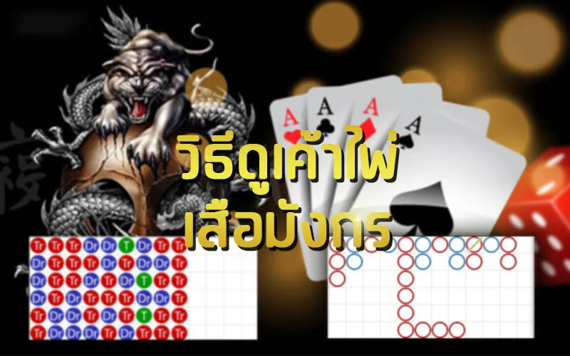 วิธีดูเค้าไพ่-"How to look at the Dragon Tiger card"