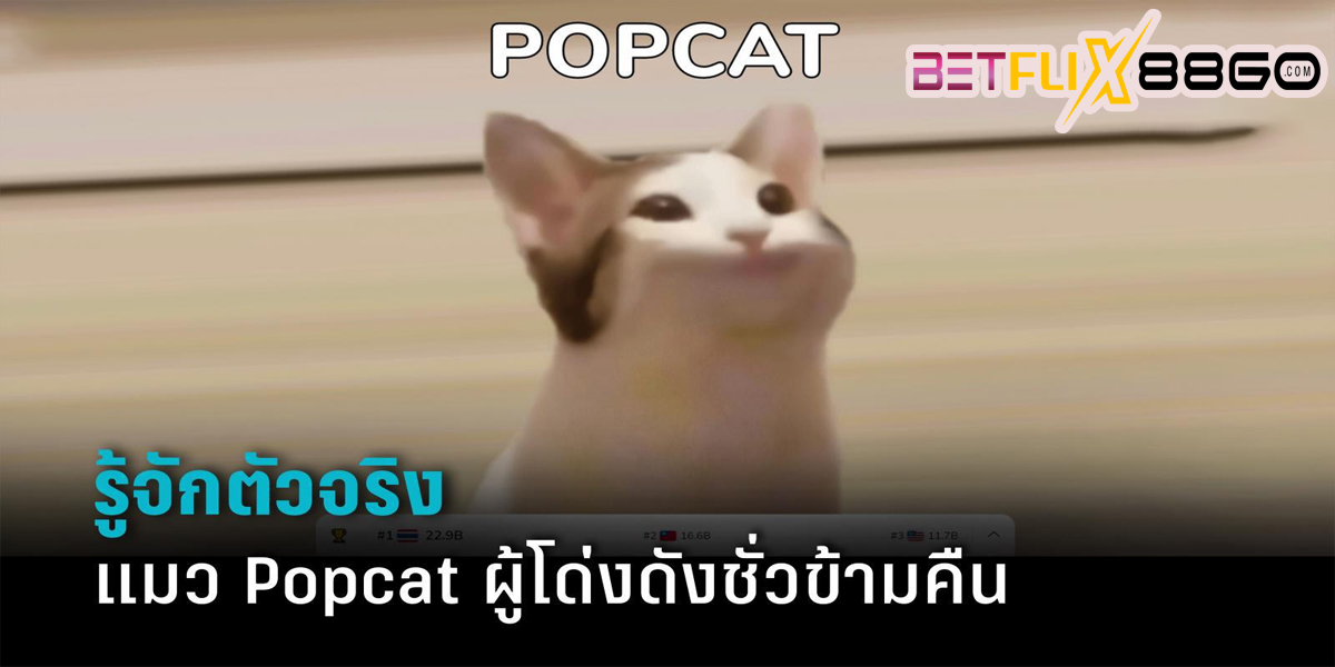 เกม popcat-"game"