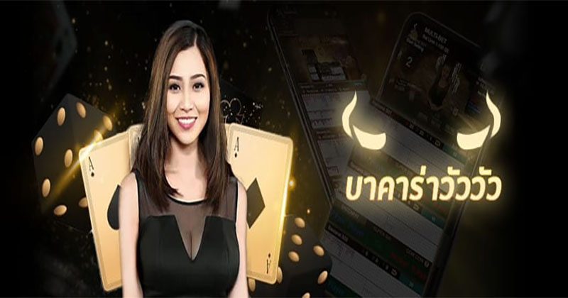 อัตราการจ่ายบาคาร่าวัววัว-"Cow Baccarat Payout-Rate"