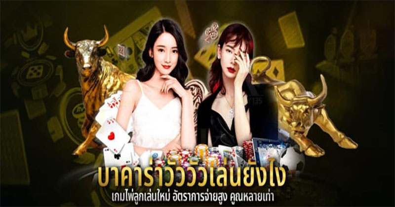 โบนัสบาคาร่าจ่ายยังไง-"How is the baccarat bonus paid"