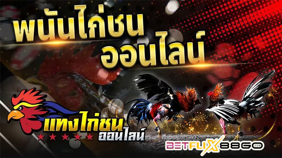 เกมไก่ชน-"cockfighting game"